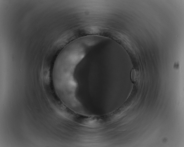 X0000102230267200807251241