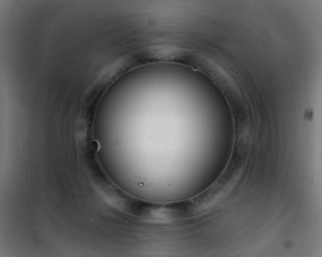 X0000102230268200807251241