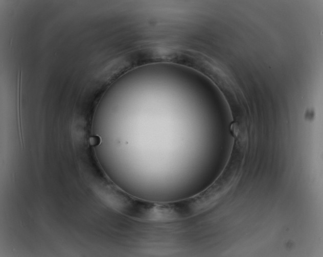 X0000102230270200807251241