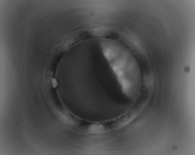 X0000102230271200807251241