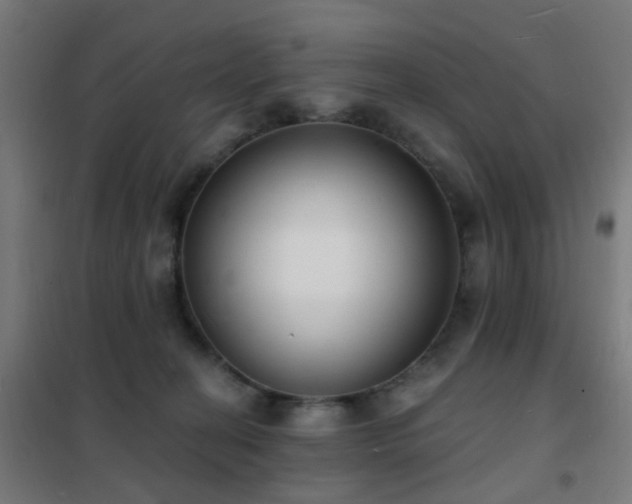 X0000102230274200807251242