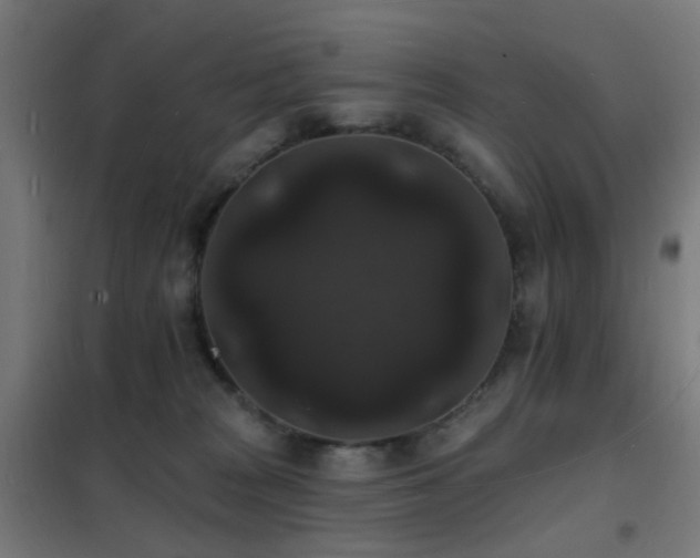 X0000102230277200807251242