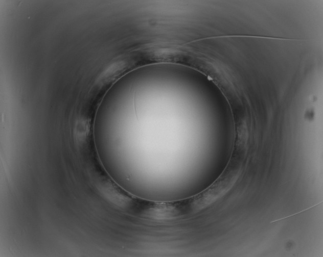 X0000102230278200807251242