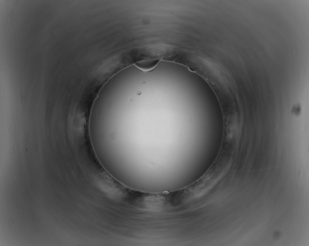 X0000102230279200807251242