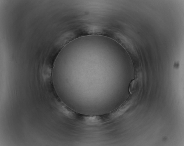 X0000102230281200807251242