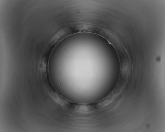 X0000102230282200807251242