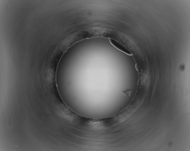 X0000102230283200807251242