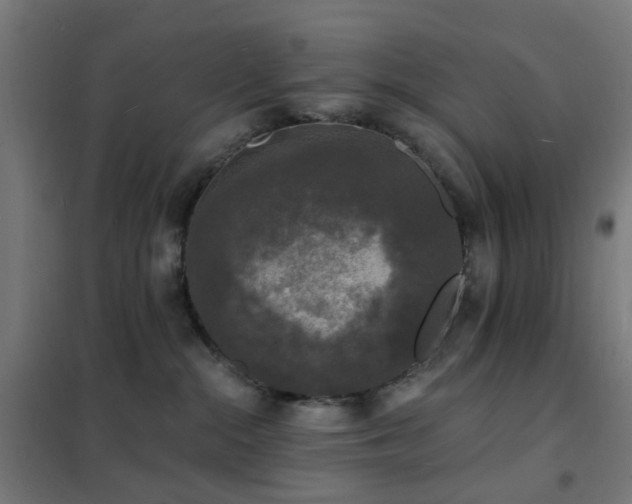 X0000102230284200807251242