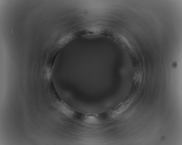 X0000102230285200807251242