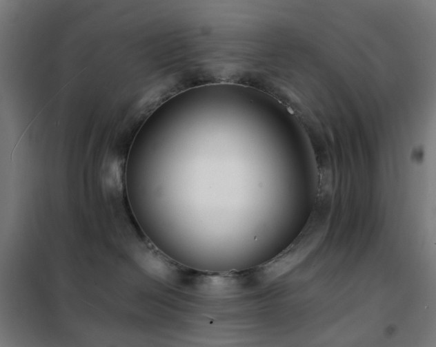 X0000102230286200807251242