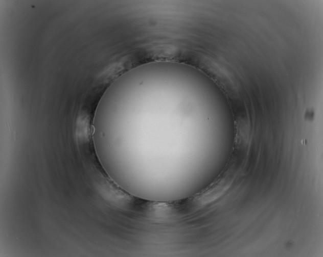 X0000102230287200807251242