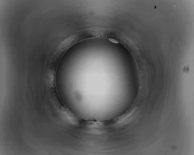 X0000102230288200807251242