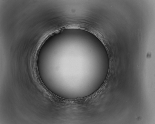 X0000102230289200807251241