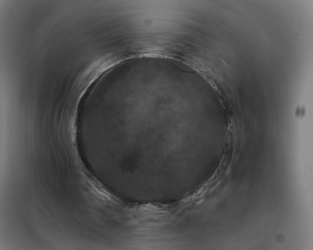 X0000102230290200807251241