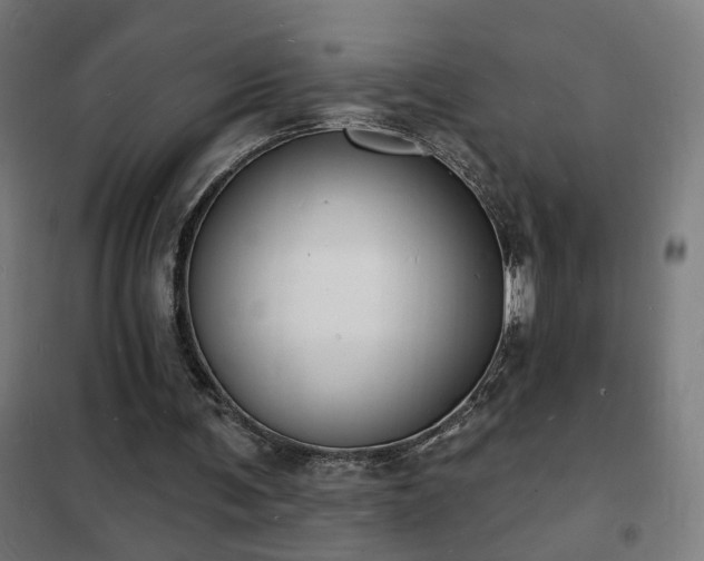X0000102230291200807251241
