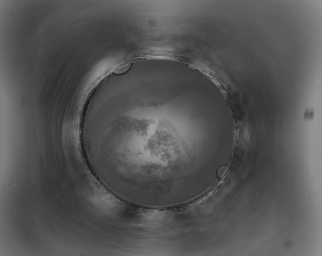 X0000102230293200807251241