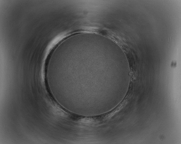 X0000102230294200807251241