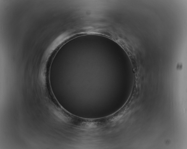 X0000102230295200807251241