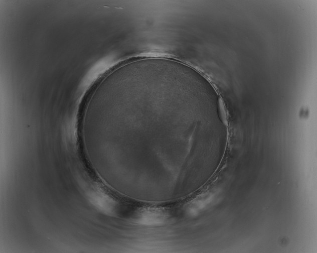 X0000102230296200807251241