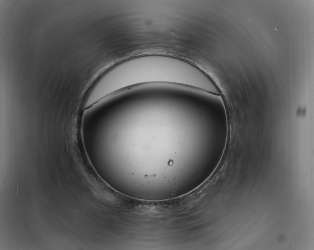 X0000102230297200807251241