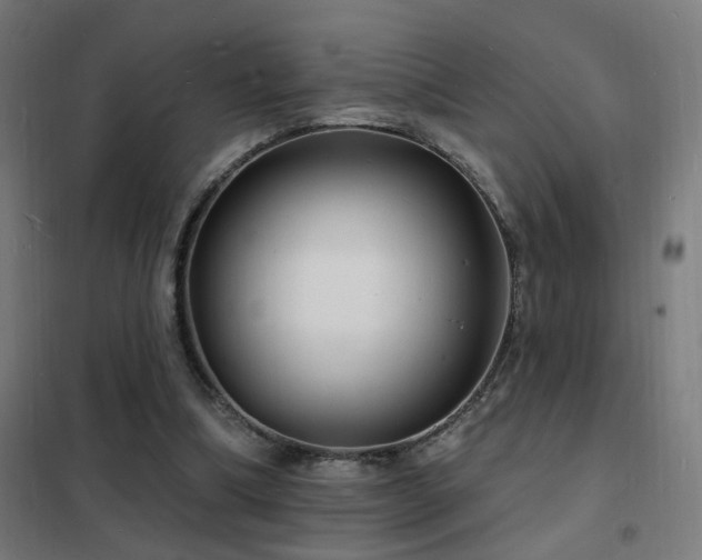 X0000102230298200807251241
