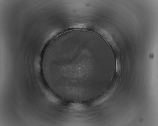X0000102230300200807251241