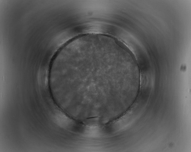 X0000102230301200807251241