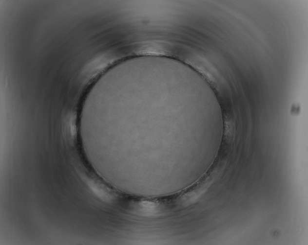 X0000102230302200807251241
