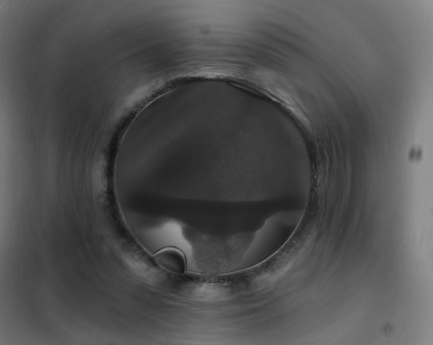X0000102230303200807251241