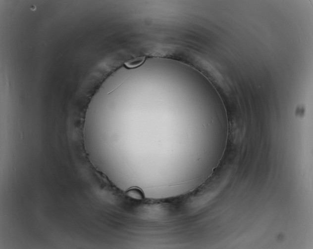 X0000102230307200807251241