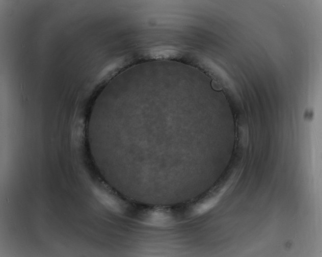 X0000102230308200807251241