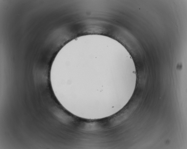 X0000102230309200807251241