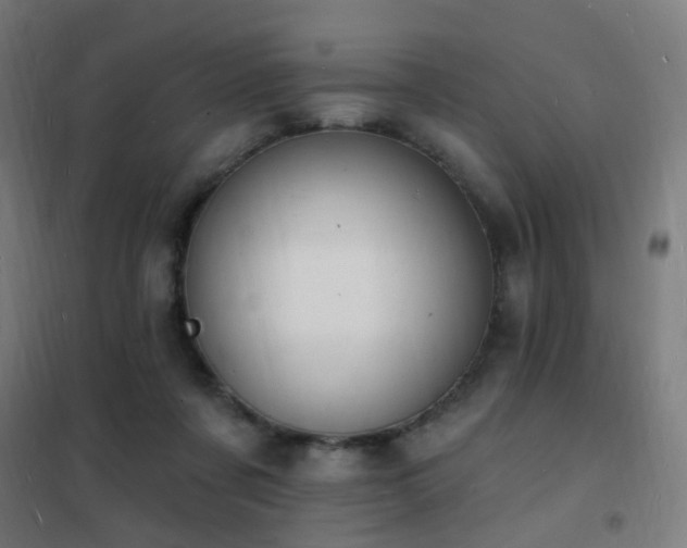 X0000102230311200807251241