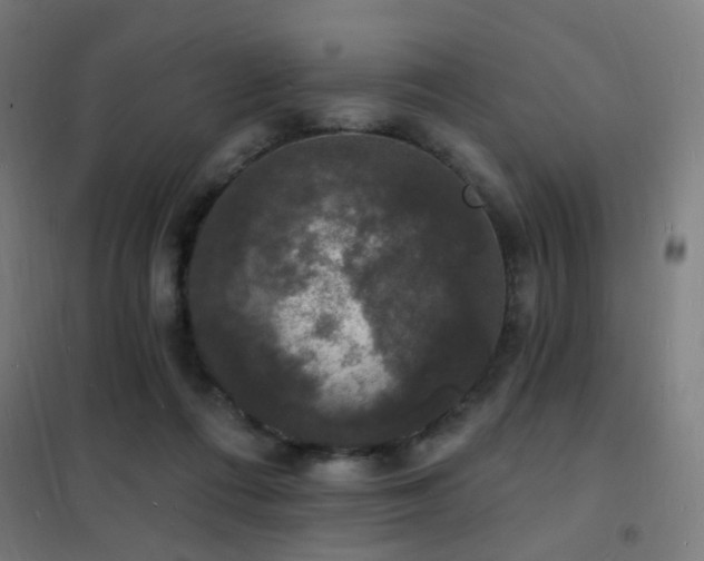 X0000102230312200807251241