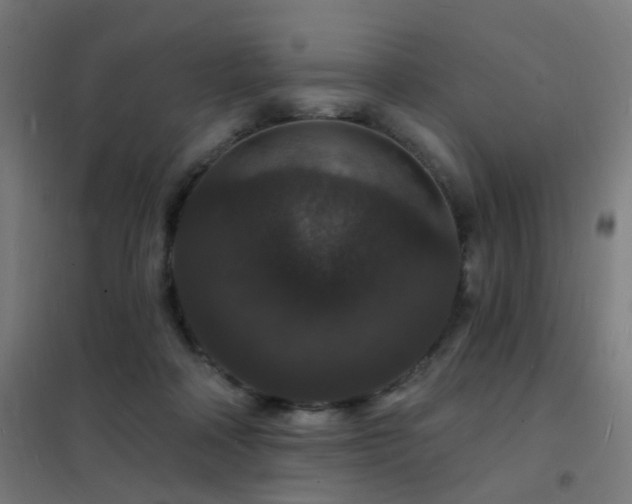 X0000102230314200807251241