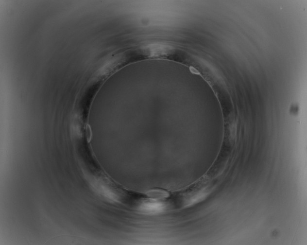 X0000102230316200807251241