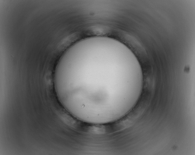 X0000102230317200807251241