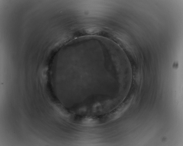 X0000102230319200807251240