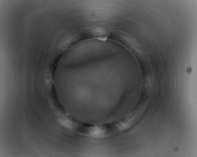 X0000102230320200807251240