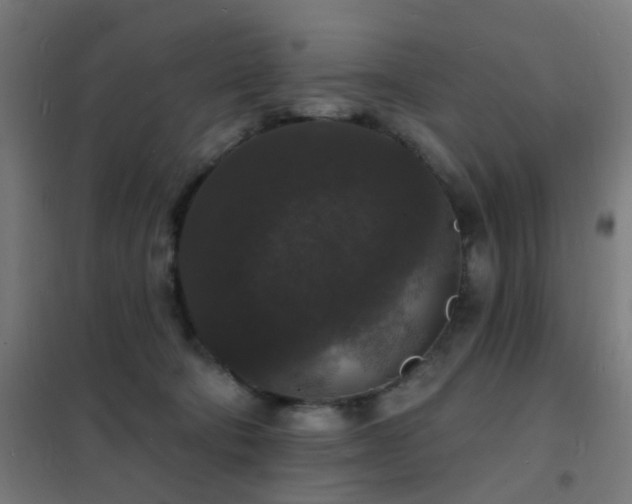 X0000102230322200807251240