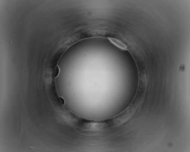 X0000102230323200807251240