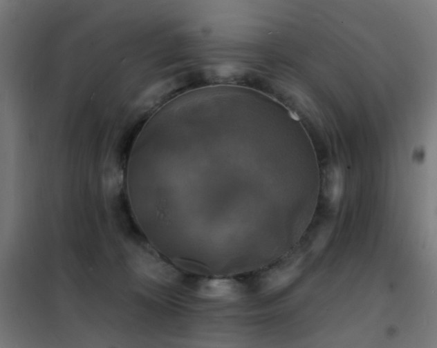 X0000102230324200807251240
