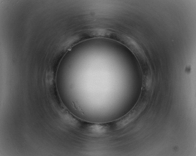 X0000102230326200807251240