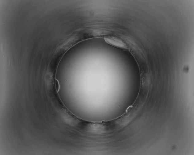X0000102230327200807251240
