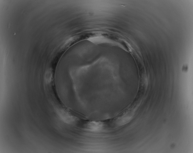 X0000102230328200807251240
