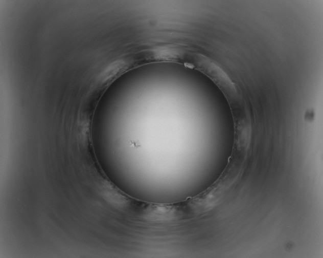 X0000102230329200807251240