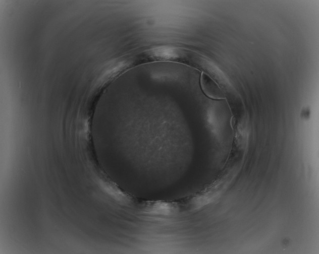 X0000102230330200807251240