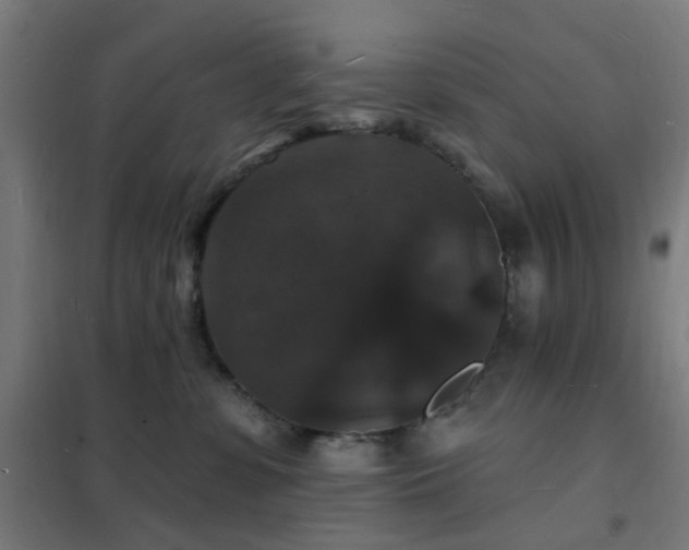 X0000102230331200807251240