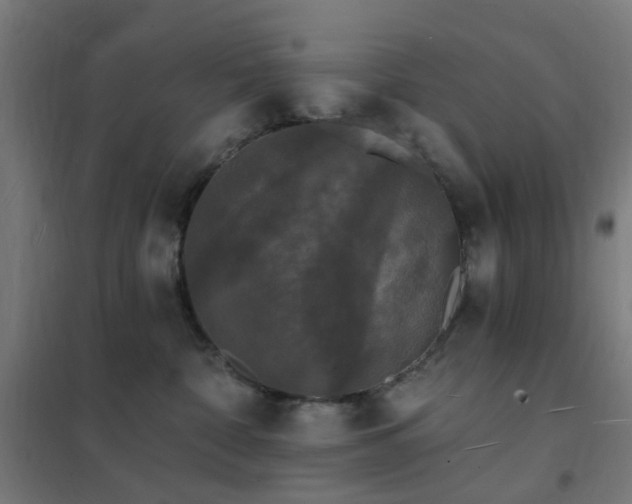 X0000102230332200807251240