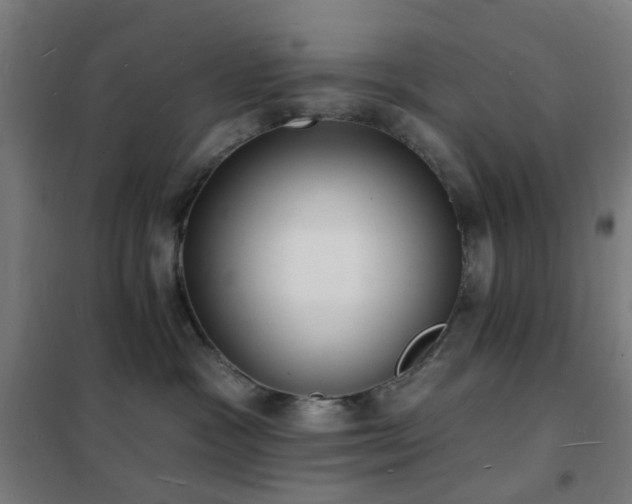X0000102230333200807251240
